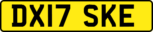 DX17SKE