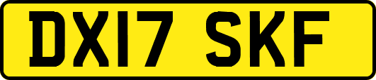 DX17SKF