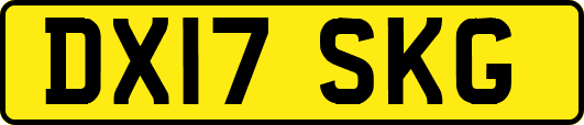 DX17SKG