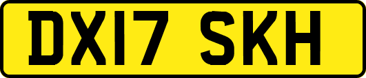 DX17SKH