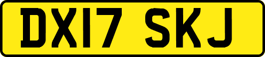 DX17SKJ