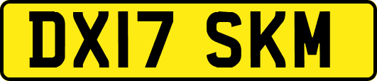 DX17SKM