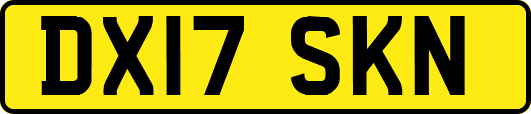 DX17SKN