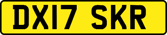 DX17SKR