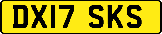 DX17SKS
