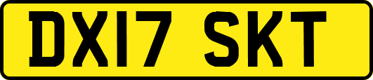 DX17SKT