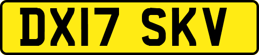 DX17SKV