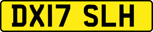 DX17SLH