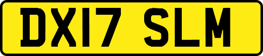 DX17SLM