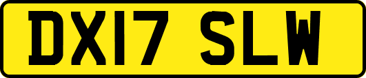 DX17SLW