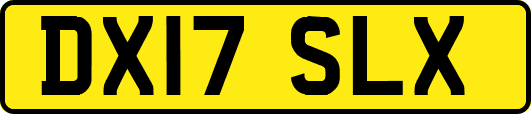 DX17SLX