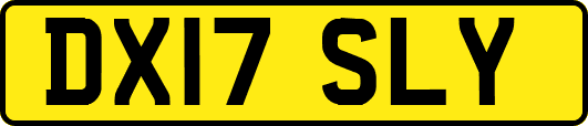 DX17SLY