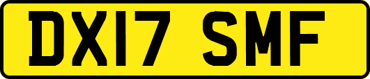 DX17SMF