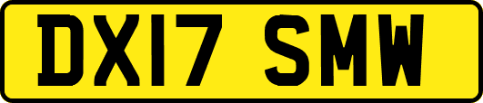 DX17SMW