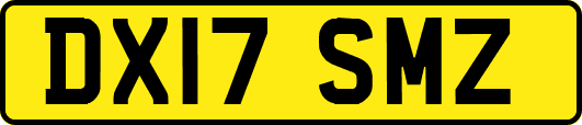 DX17SMZ