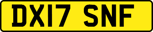 DX17SNF