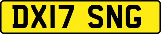 DX17SNG