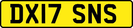 DX17SNS