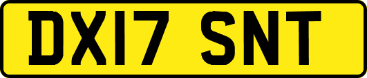 DX17SNT