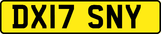DX17SNY