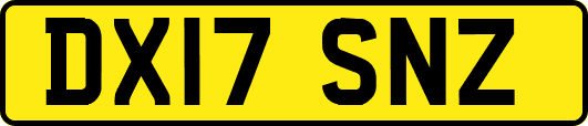 DX17SNZ