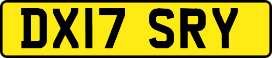 DX17SRY