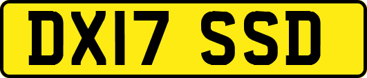 DX17SSD