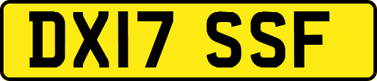 DX17SSF