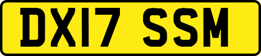 DX17SSM