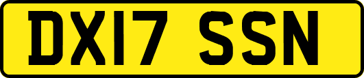 DX17SSN