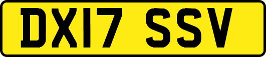 DX17SSV