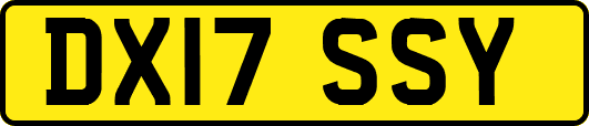 DX17SSY
