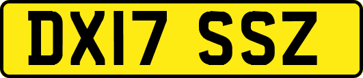 DX17SSZ