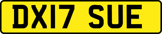 DX17SUE