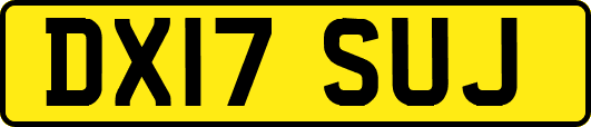 DX17SUJ