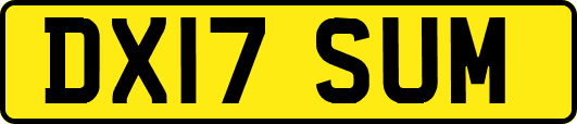 DX17SUM