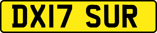 DX17SUR