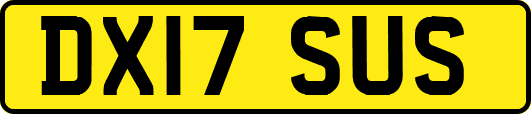 DX17SUS