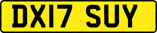 DX17SUY