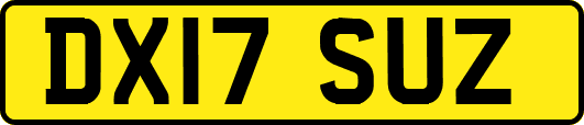 DX17SUZ