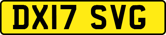 DX17SVG
