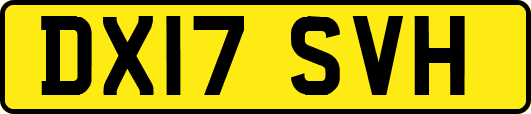 DX17SVH