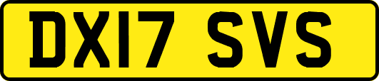 DX17SVS