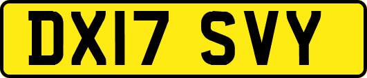DX17SVY
