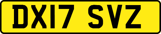 DX17SVZ