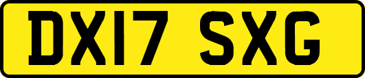 DX17SXG
