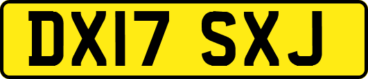 DX17SXJ