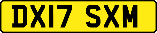DX17SXM