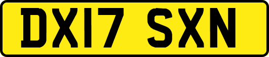 DX17SXN