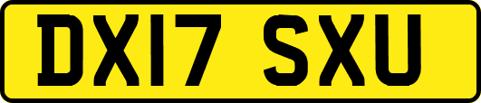 DX17SXU
